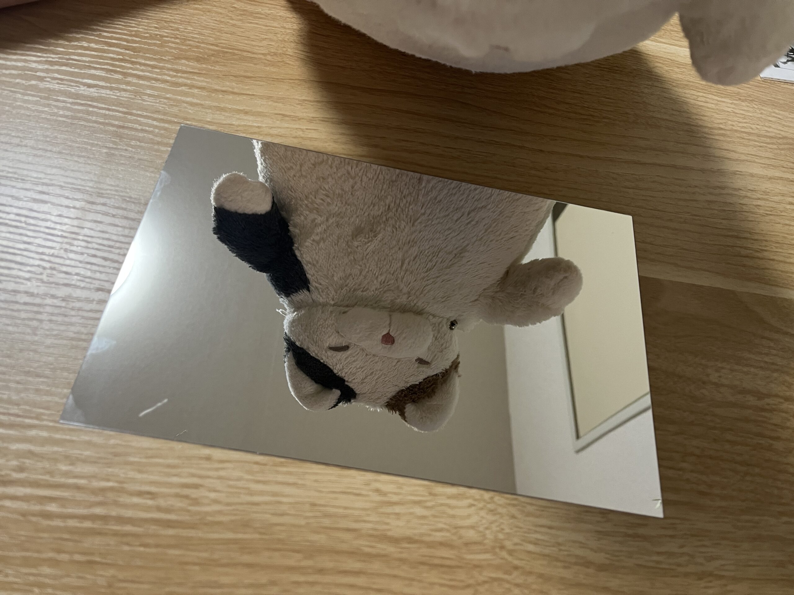 ミラーシート,100均