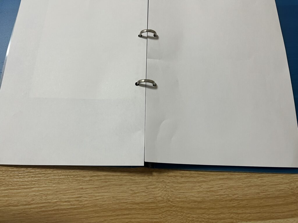 ルーズリーフ,100均