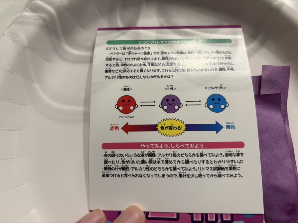 リトマス試験紙,100均