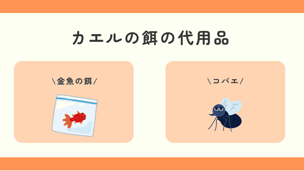 カエルの餌,100均