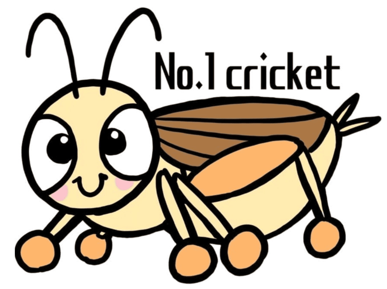 カエルの餌,100均