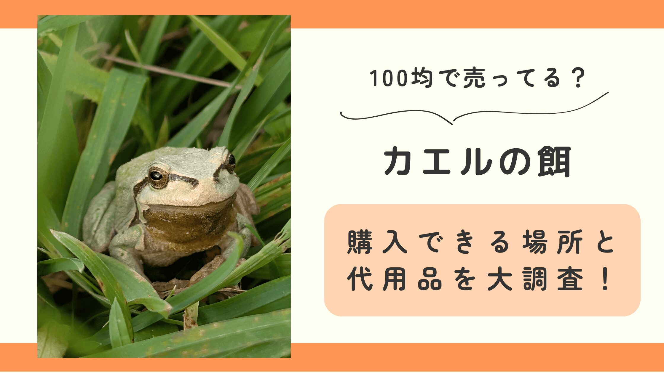 カエルの餌,100均