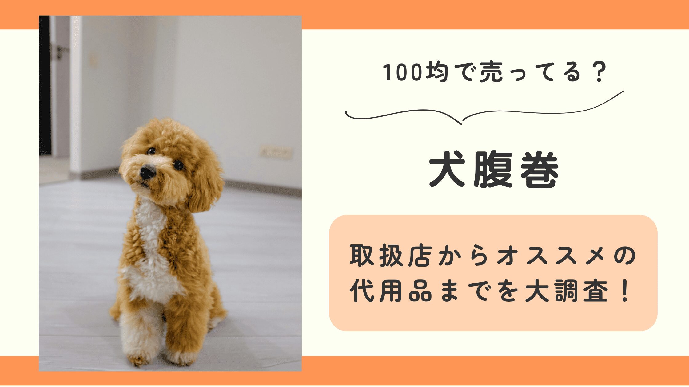 100均,犬腹巻