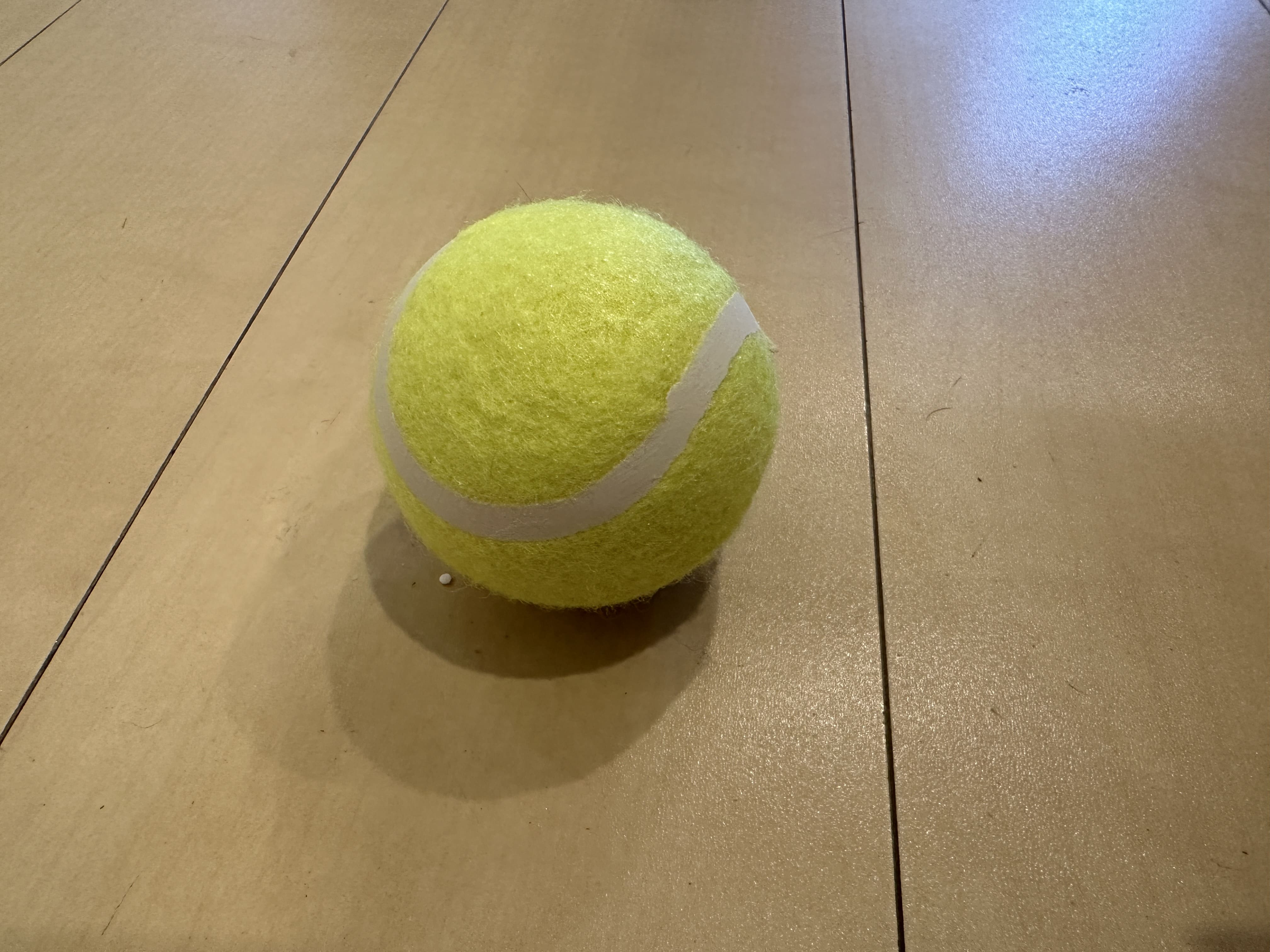 100均,テニスボール